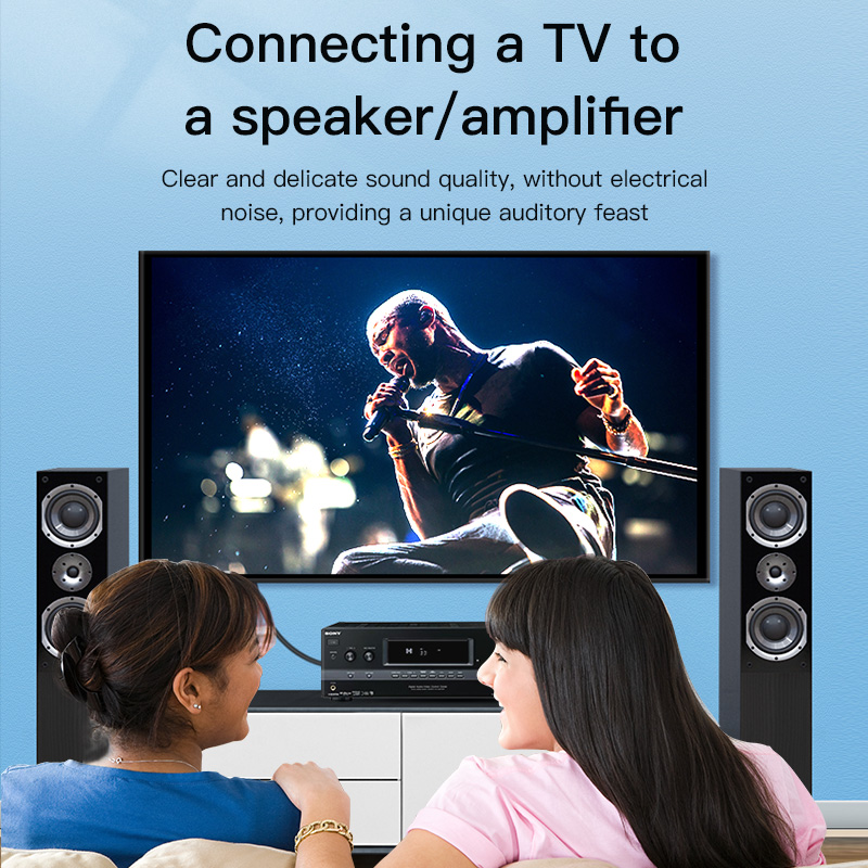 كابل RCA من CHOSEAL، كابل صوت  - مراجعة Home Cinema Hall وسعره